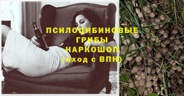 сатива Армянск