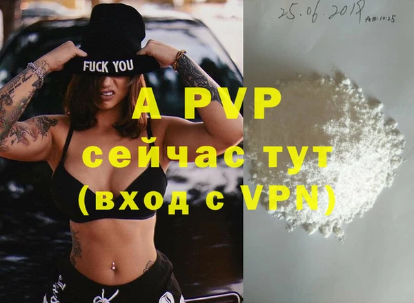сатива Армянск