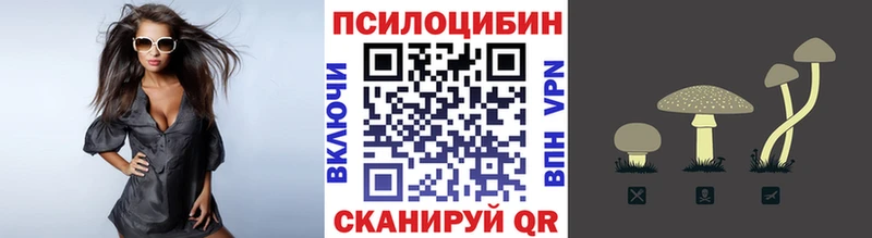 Псилоцибиновые грибы ЛСД  Сольвычегодск 